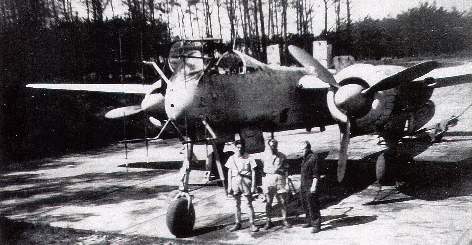 1-Heinkel-He-219A-1_NJG1-Venlo-1944-01