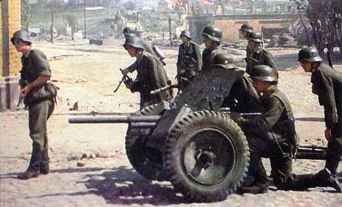 37mm Anti tank gun