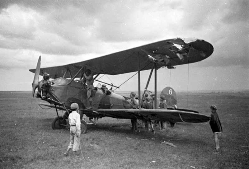 A damaged Polikarpov Po-2, "Yellow 6", 1943  (2)