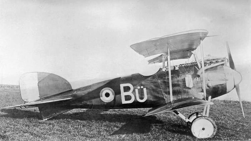 Albatros D.I  "Bü", captured (2)
