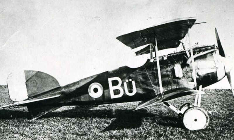 Albatros D.I  "Bü", captured (3)
