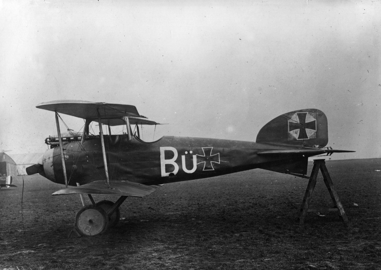 Albatros D.I  "Bü"  (1)
