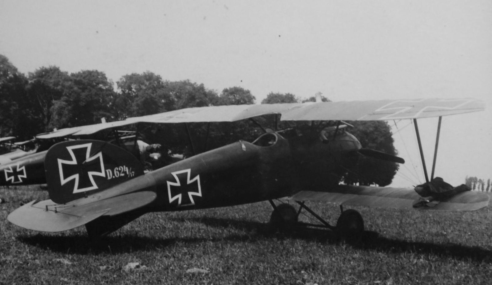 Albatros D.III  D.624/17