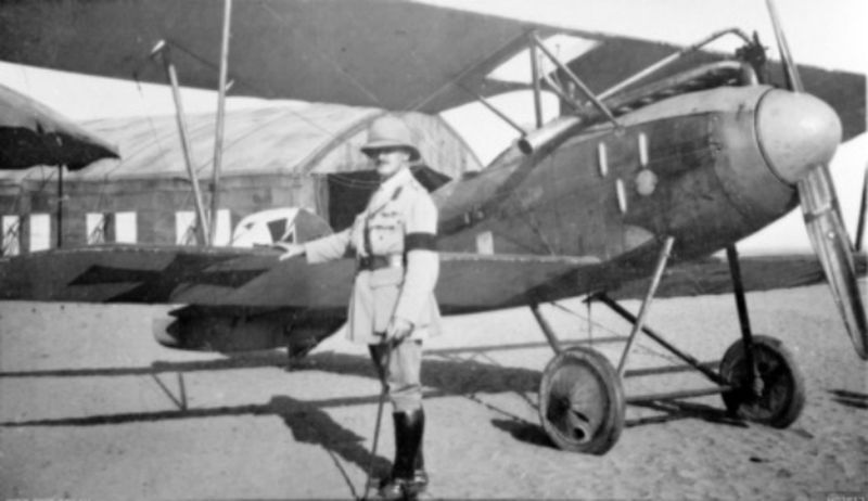Albatros D.III no. D.636/17 (3)