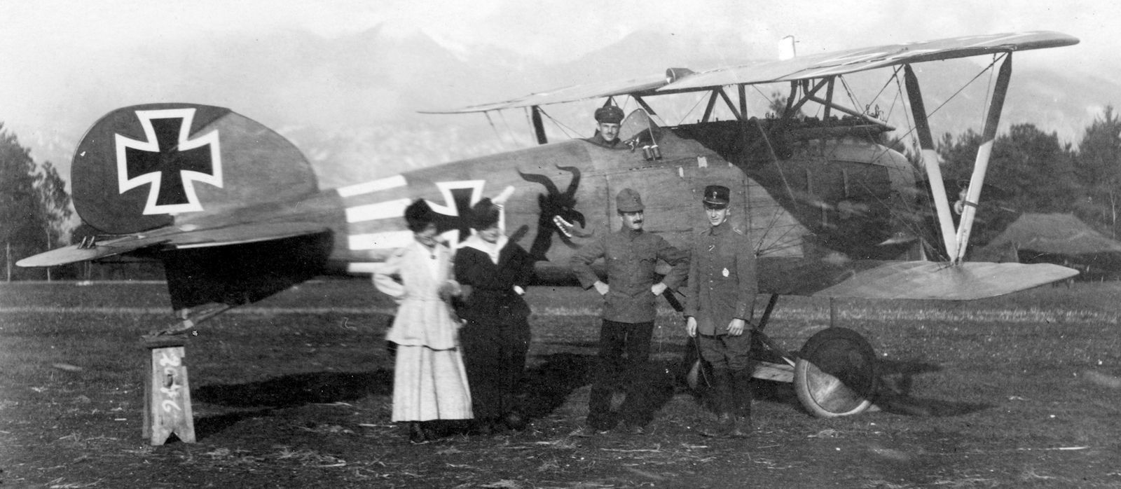 Albatros D.III OAW,  Jasta 31