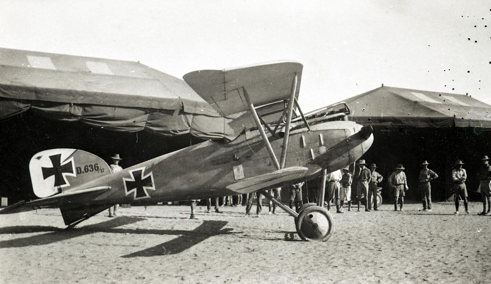 Albatros D.III OAW no. D.636/17 (1)