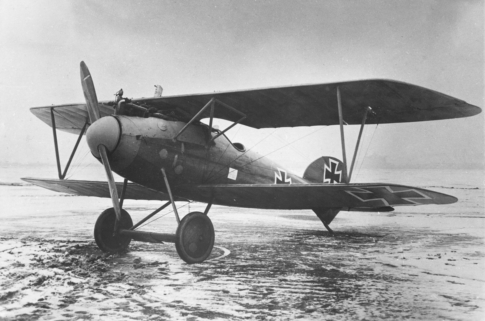 Albatros D.III | Aircraft Of World War II - WW2Aircraft.net Forums