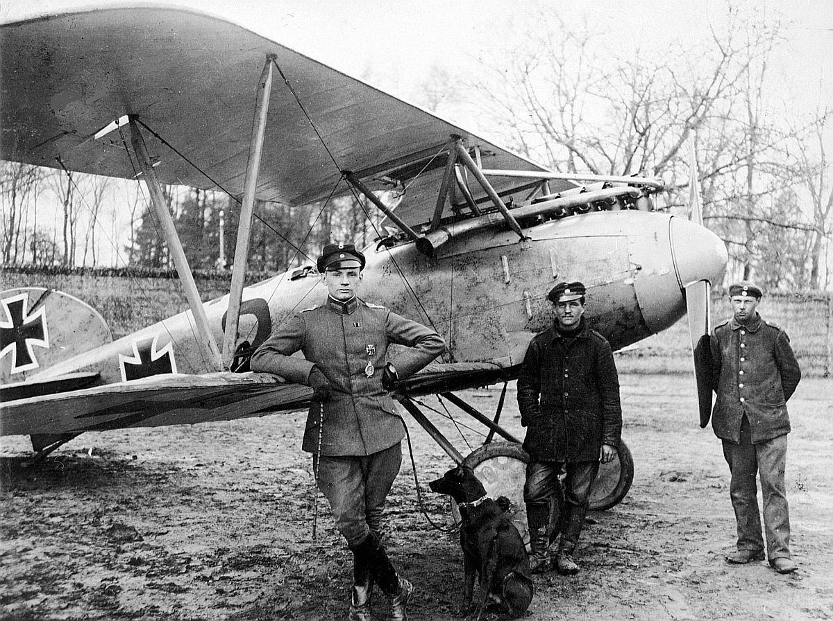 Albatros D.III