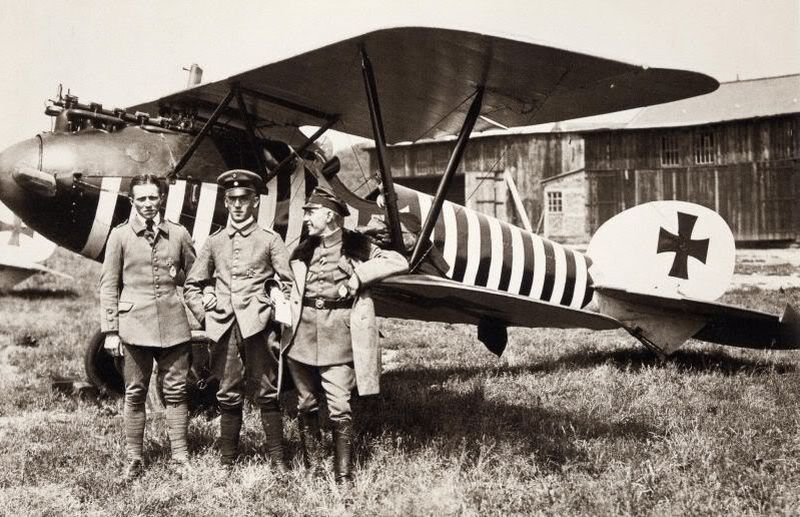 Albatros D.V, Jasta 2