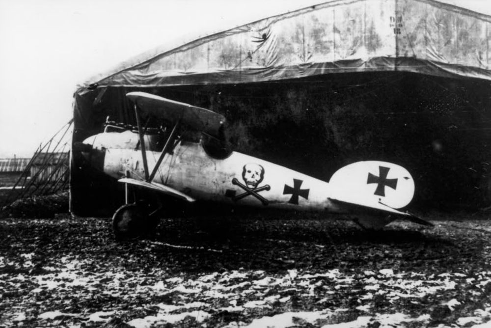 Albatros D.V OAW no D.5695/17, JASTA 65 (1)