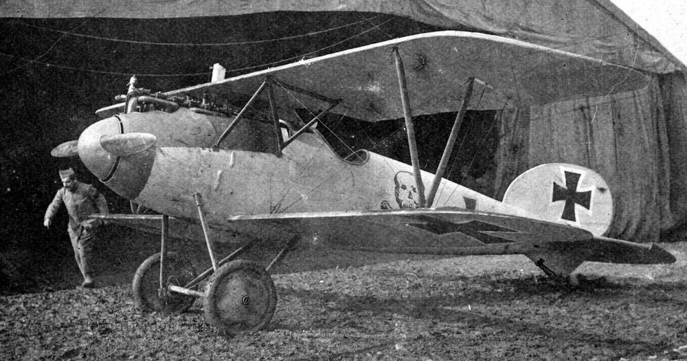 Albatros D.V OAW no D.5695/17, JASTA 65 (2)