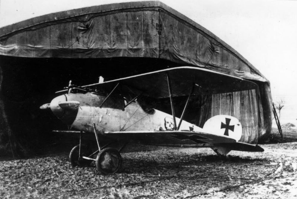 Albatros D.V OAW no D.5695/17, JASTA 65 (3)