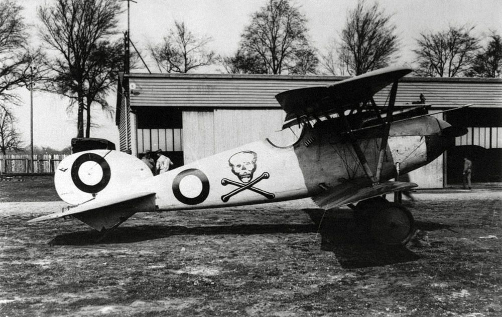 Albatros D.V OAW no D.5695/17, JASTA 65 (4)