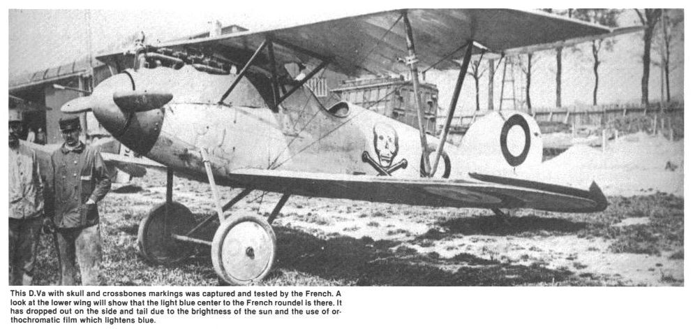 Albatros D.Va D.5695/17 Jasta65 Ltn. Lothmann.