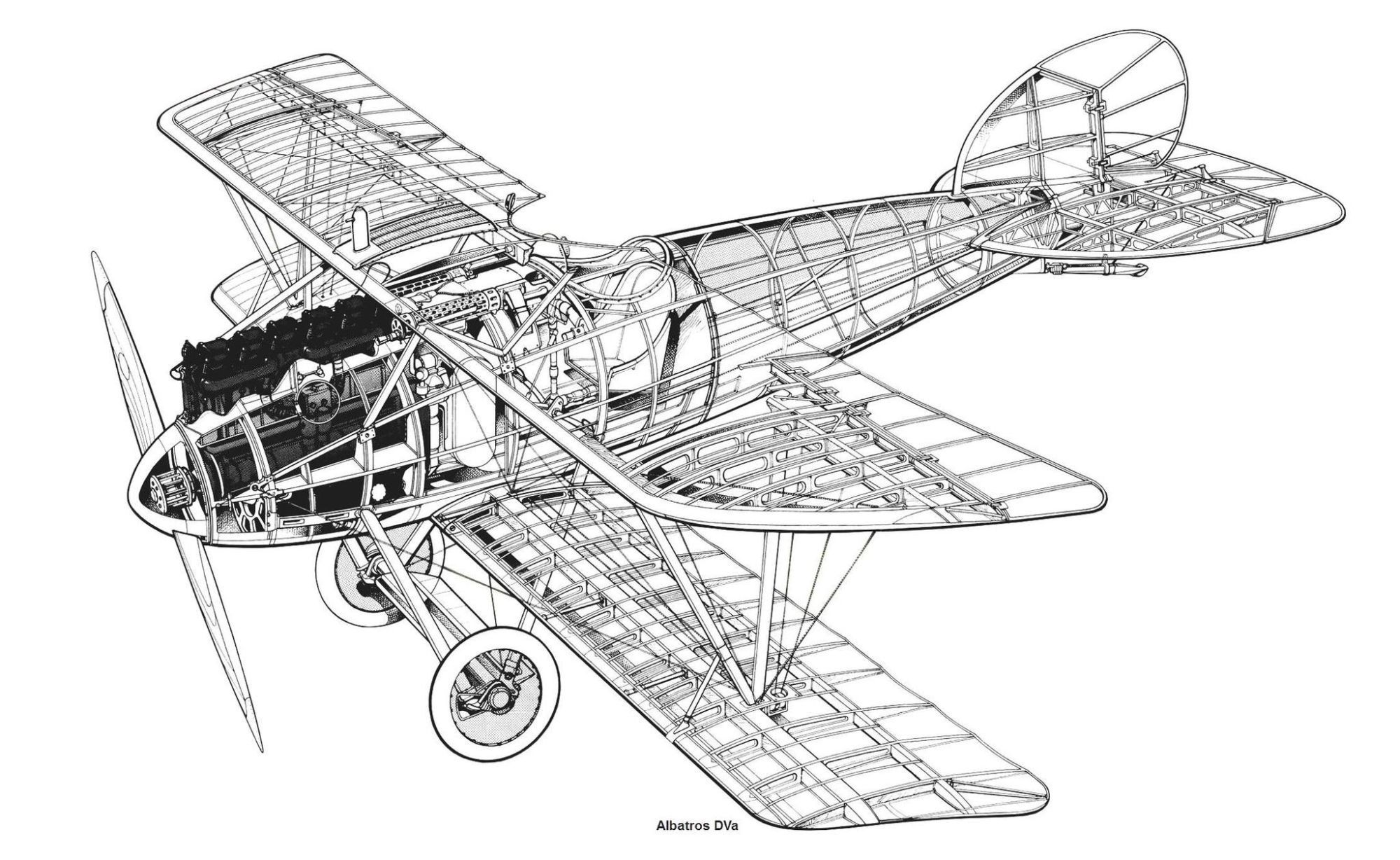Albatros D.Va