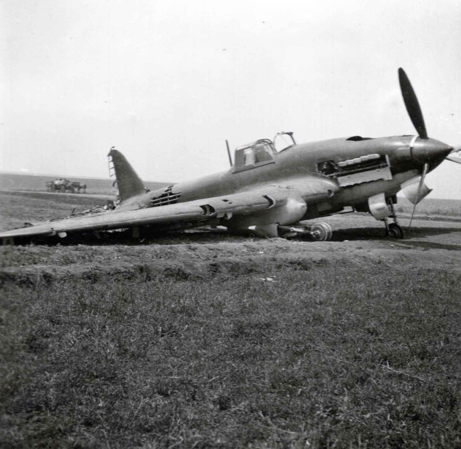An abandoned Il-2 single seater,  1941-1942