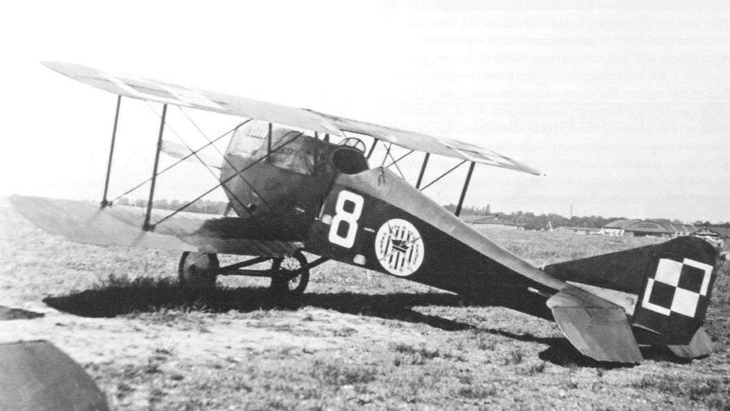 Ansaldo A.1 Balilla "White 8"of the Polish AF