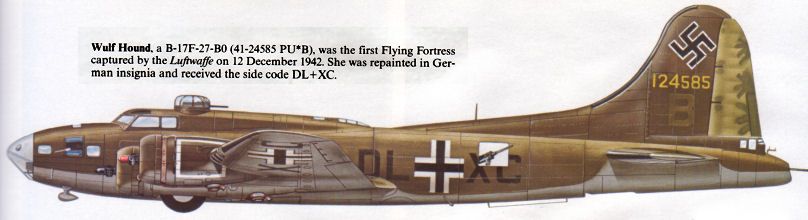 B17F DL+XC.