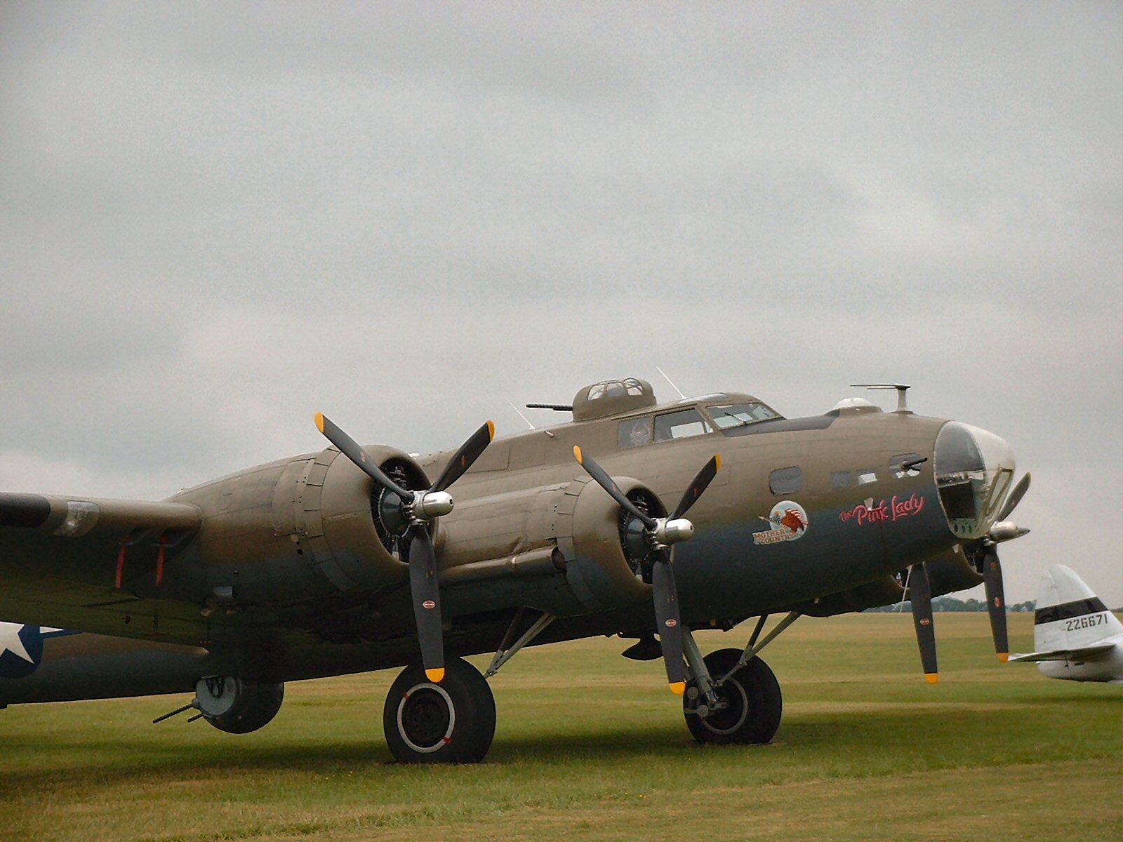 B17F Pink Lady_2