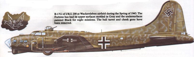 B17G KG200.