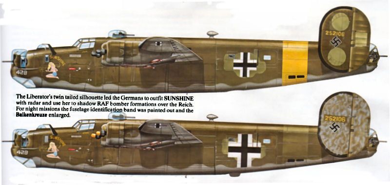 B24 Liberator In Luftwaffe Markings.
