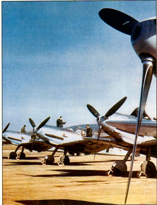 Bf 109 fighters lined up on their airbase.jpg