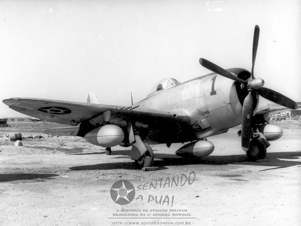 Brazilian Air ForceÂ´s P-47 - Italy, 1944
