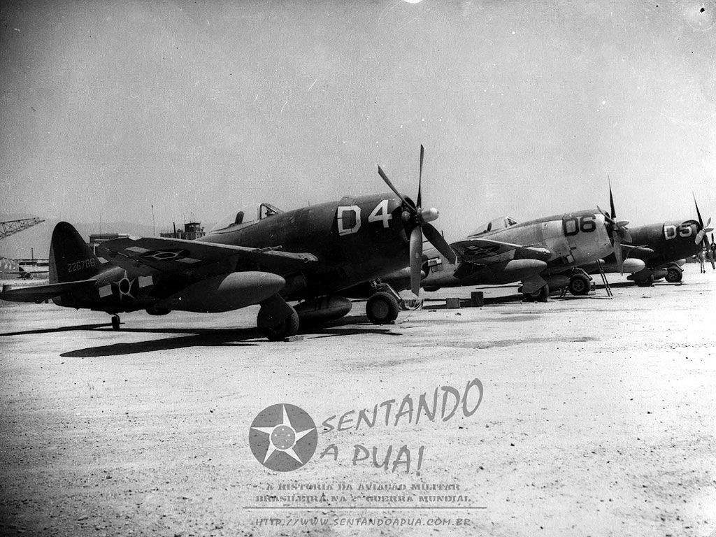 Brazilian Air ForceÂ´s P47. Italy Campaign, 1944-45.