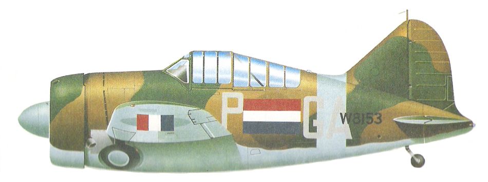 Brewster B-339 Buffalo_4.jpg