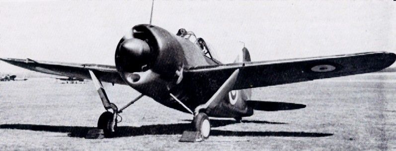 Brewster Buffalo Mk.I