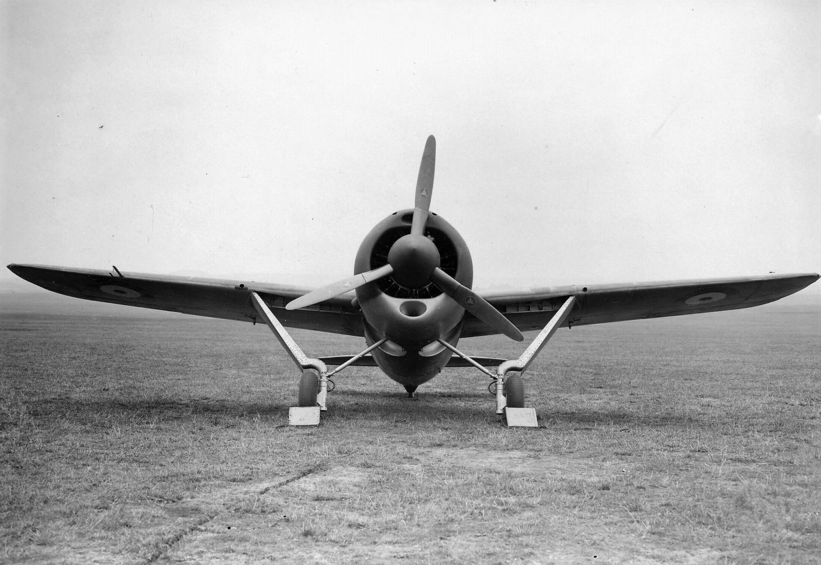 Brewster F2A Buffalo, RAF AS412, 1940 (4)