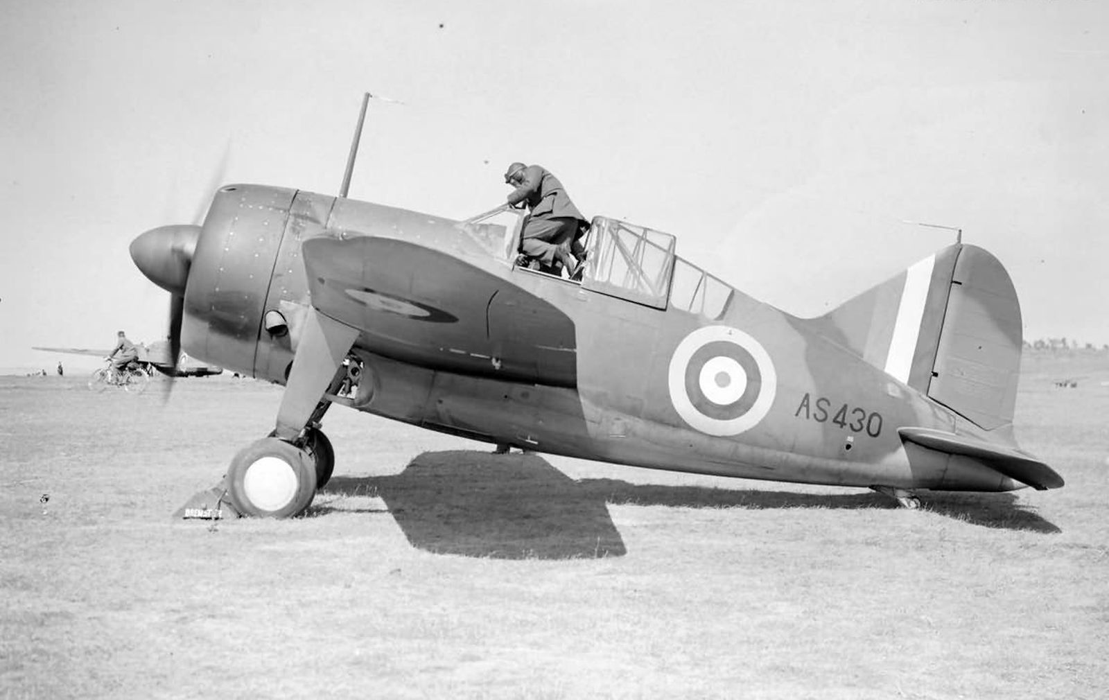 Brewster F2A Buffalo, RAF AS430, 1940 (1)