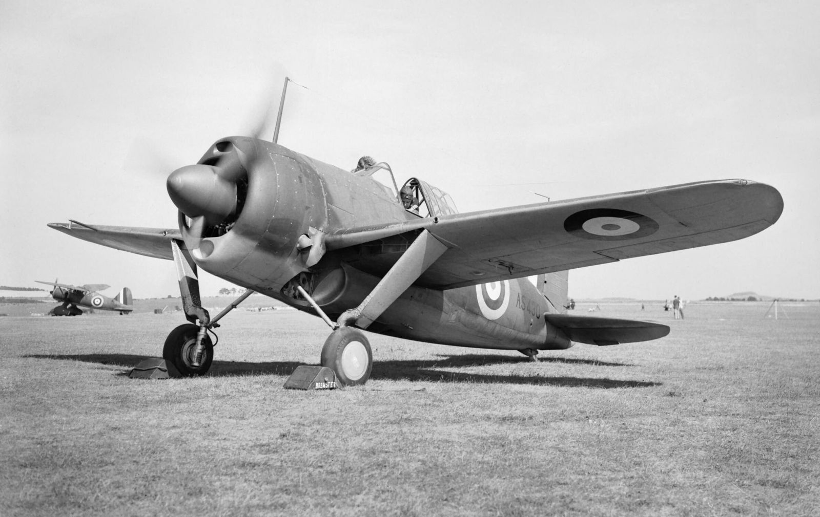 Brewster F2A Buffalo, RAF AS430, 1940 (2)