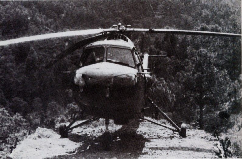 Bristol Sycamore HR. Mk.14