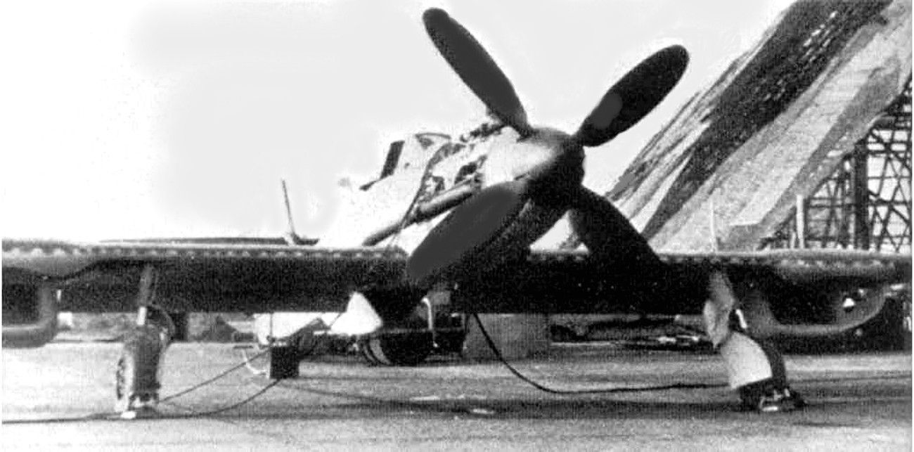 BV155-V1-2s
