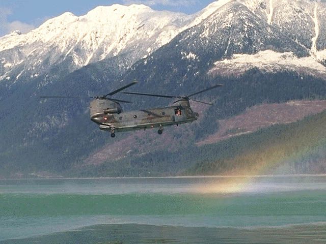 Canadian Chinook Though Marking not visible