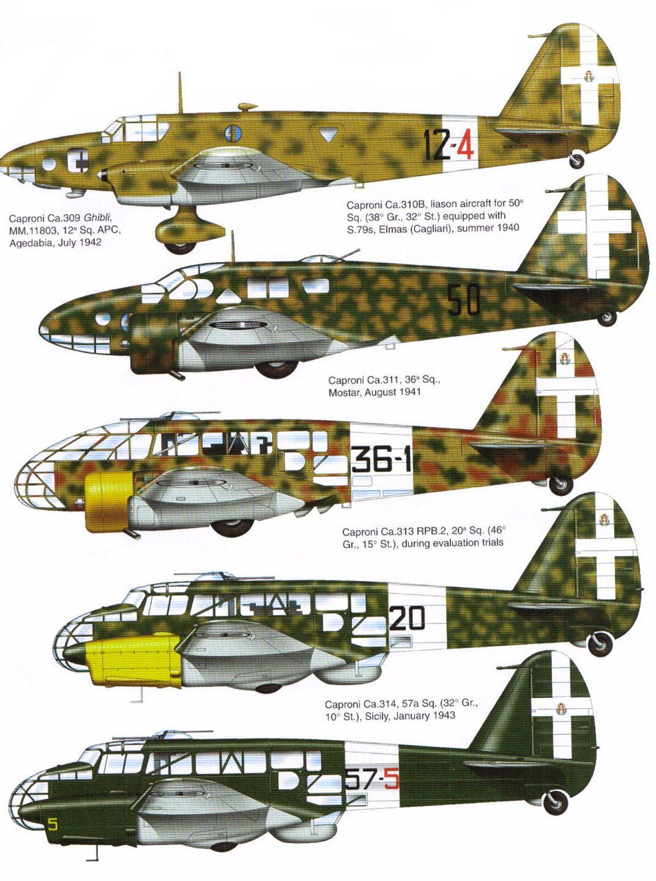 Caproni Ca 3xx (Various Models)