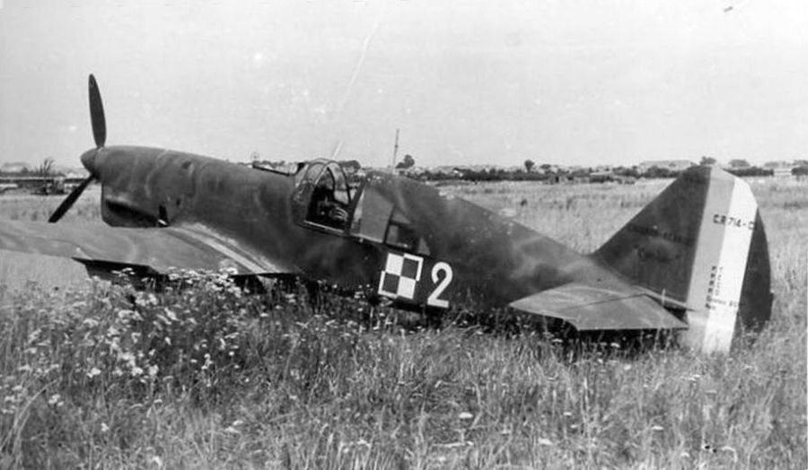 Caudron CR.714C1, "White 2",  Polish AF,  France 1940