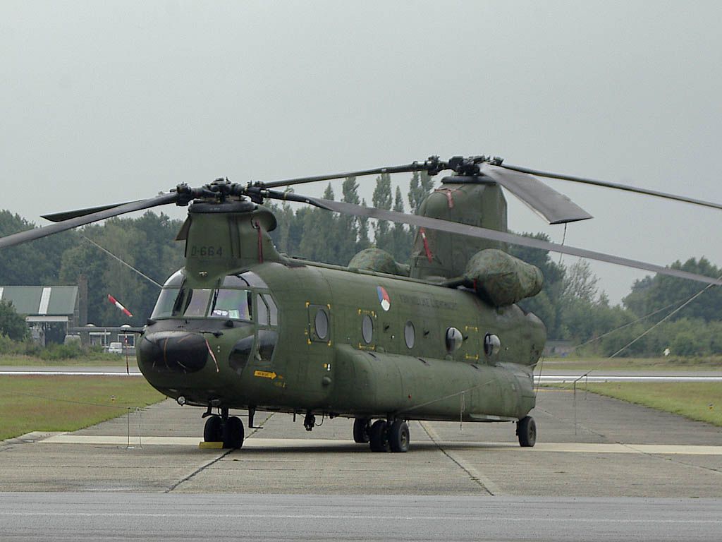 chinook stand