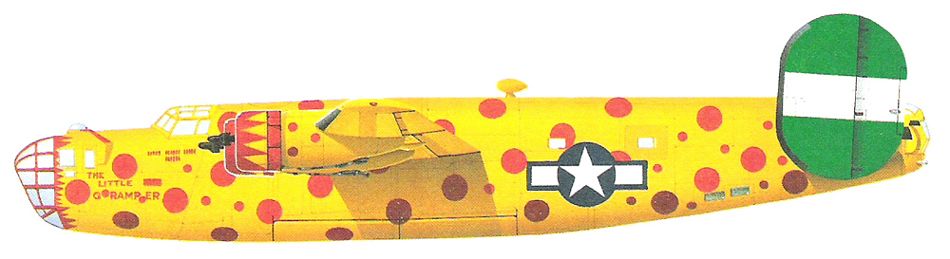 Consolidated B-24D Liberator_4.jpg
