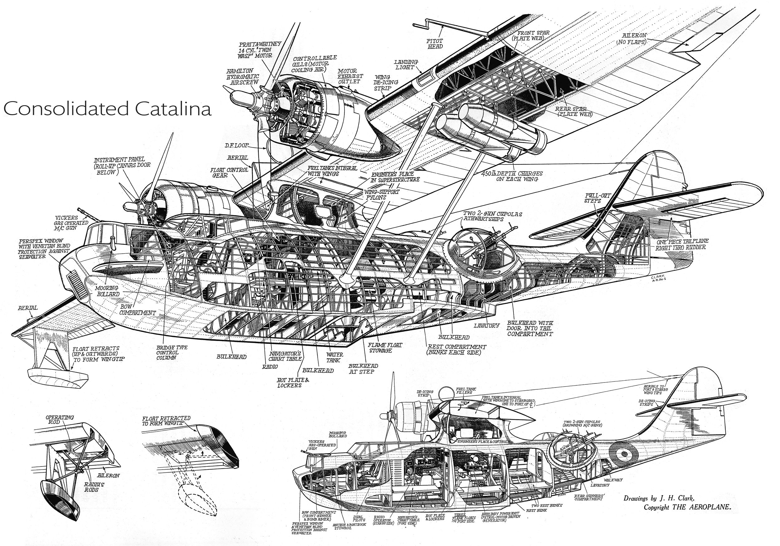 consolidatedcatalinaraf