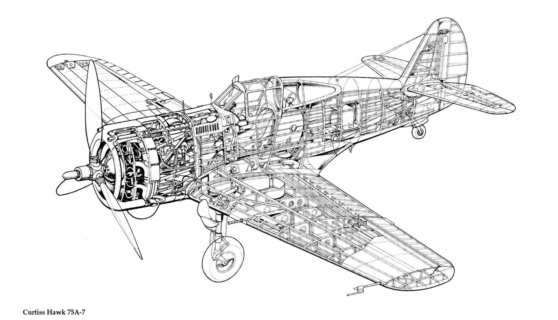 Curtiss Hawk 75A-7