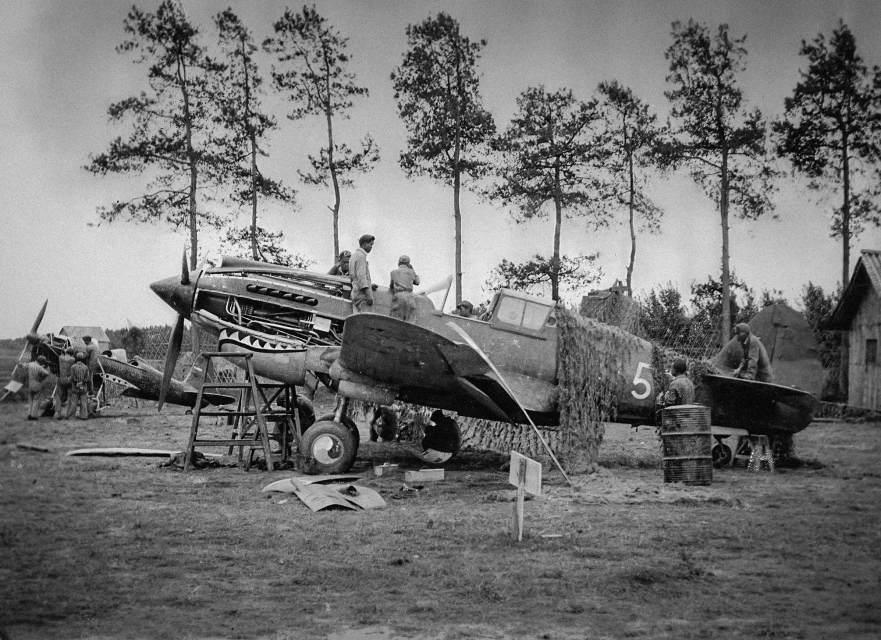 Curtiss Hawk 81 A, White 52, AVG. | Aircraft of World War II ...