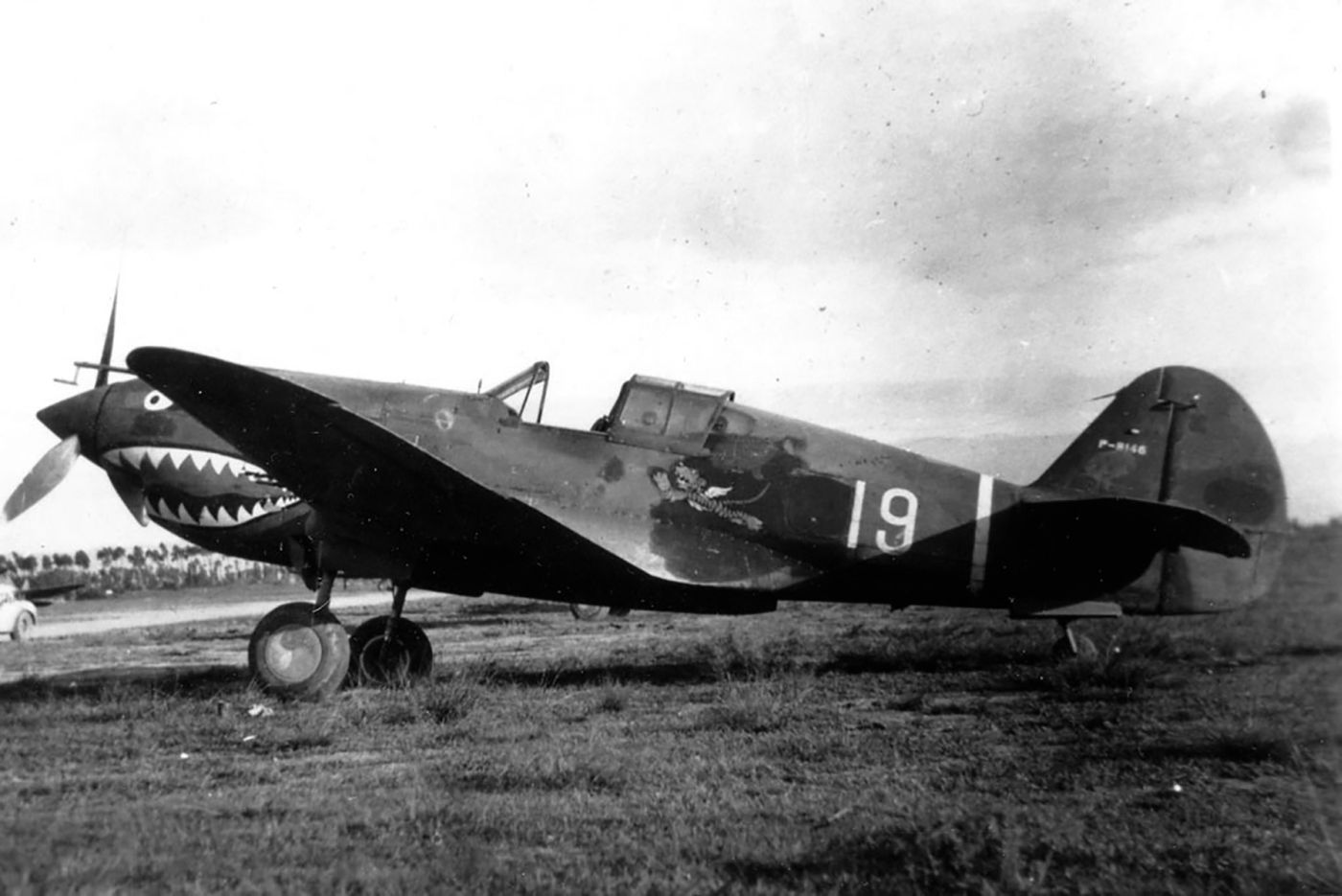 Curtiss Hawk 81A, no.P-8146, "White 19", AVG, 1942