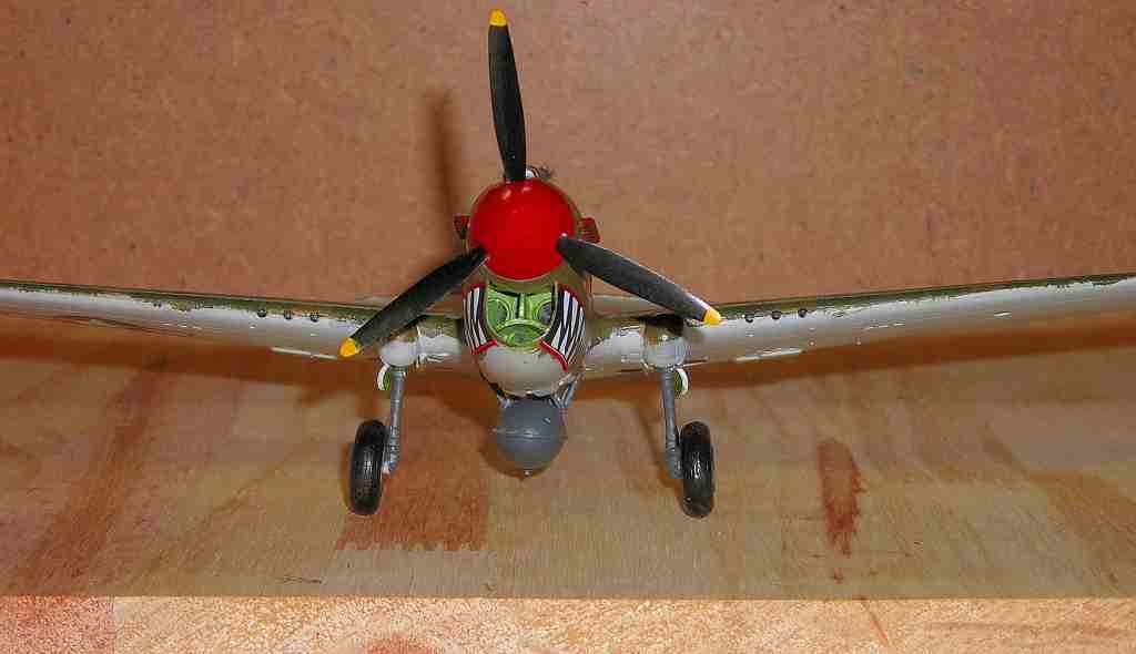 Curtiss P-40 "Flying Tiger" Front