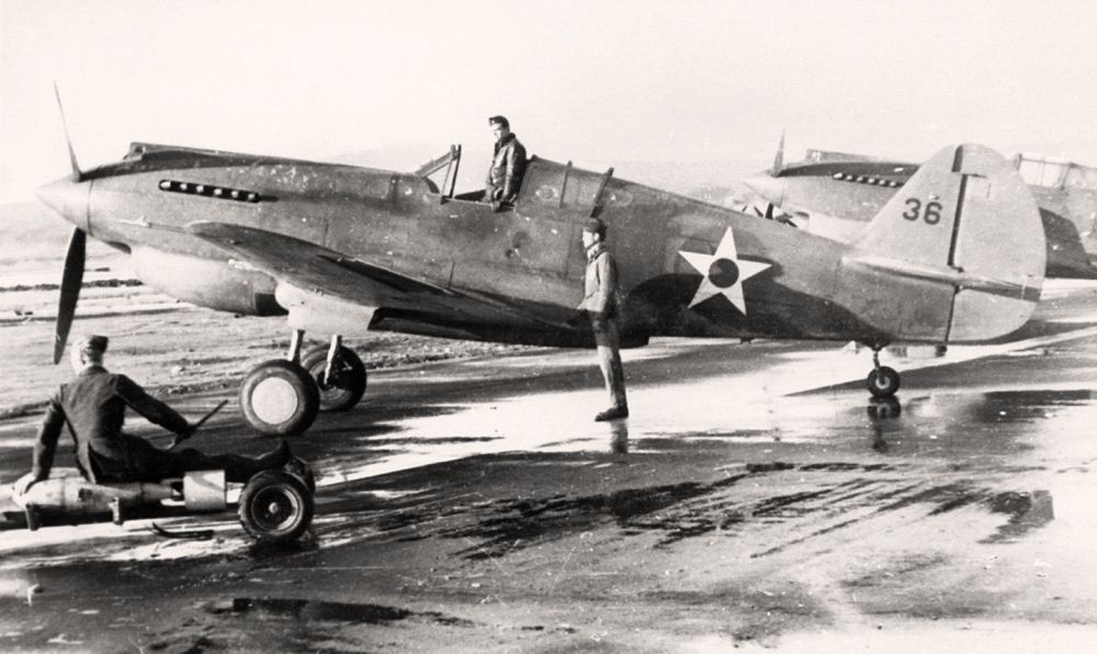 Curtiss P-40 of the 33rd Fighter Squadron 1941
