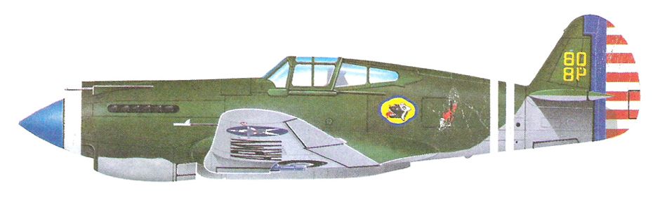 Curtiss P-40 Warhawk_5.jpg