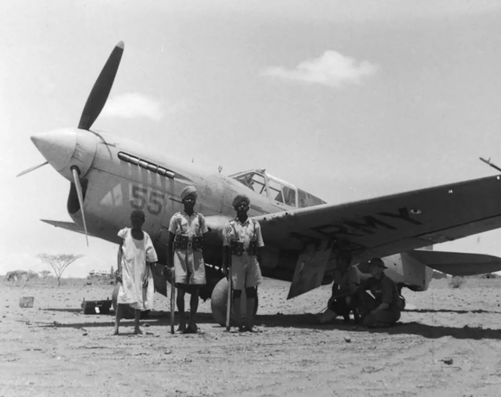 Curtiss P-40F s/n. 41-13969, the 65th FS, Egipt 1942 | Aircraft of ...
