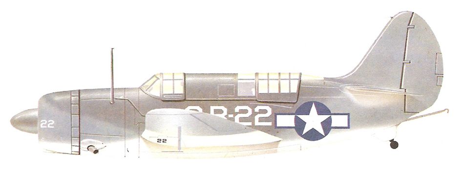 Curtiss SB2C-1 Helldiver_6.jpg