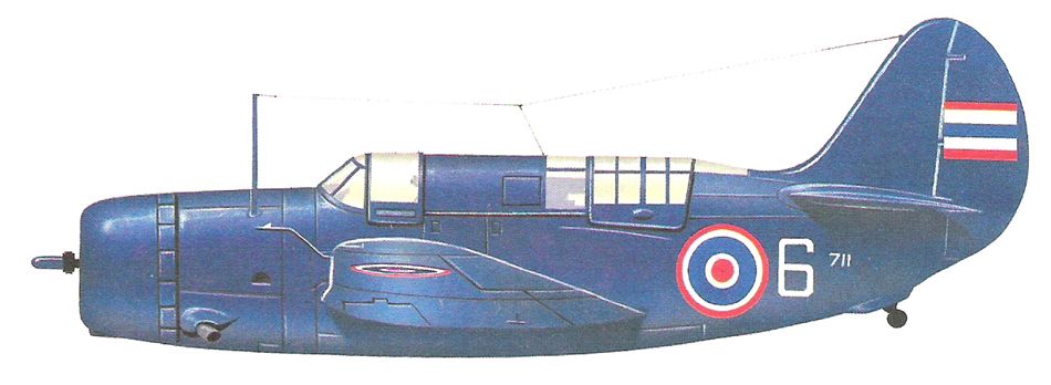Curtiss SB2C-5 Helldiver_3.jpg